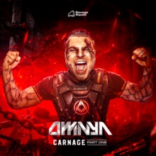 Release Image