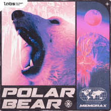 Release Image