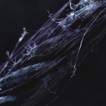 Release Image