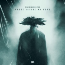 Release Image