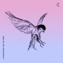 Release Image