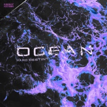 Release Image