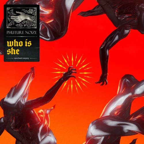 Original Image